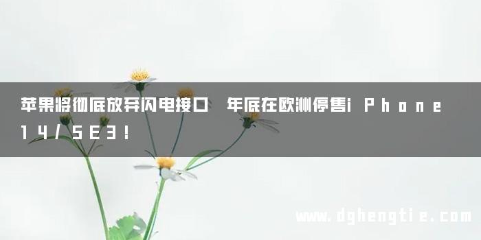 苹果将彻底放弃闪电接口 年底在欧洲停售iPhone 14/SE3!